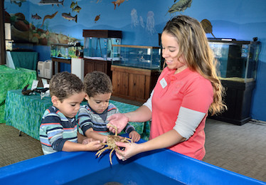 Aquarium